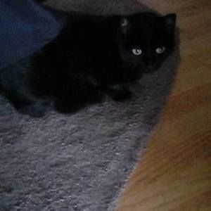 Meet your Posher, Kellie